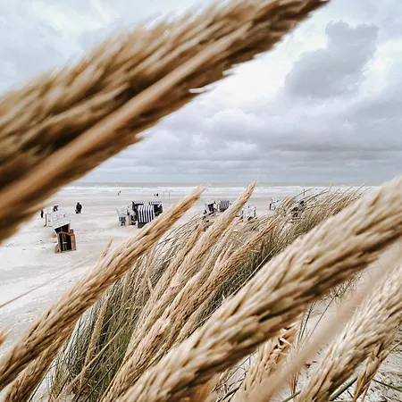 Nordstrandperle Ap S3 * Norderney