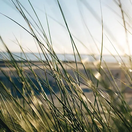 Nordstrandperle Ap S3 *